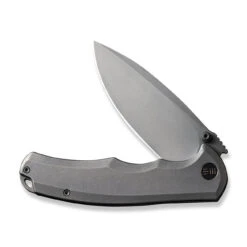 Kaviso Exclusives SKU - WEKNIFE Praxis Flipper Knife WE18026D-1 -WE KNIFE Shop kaviso exclusives sku weknife praxis flipper knife we18026d 1 417682