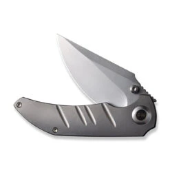 WEKNIFE Riff-Raff Thumb Stud Knife Titanium Handle (3.12" CPM 20CV Blade) WE22020B-4 -WE KNIFE Shop weknife riff raff thumb stud knife polished bead blasted titanium handle 312 polished bead blasted cpm 20cv blade we22020b 4 387487